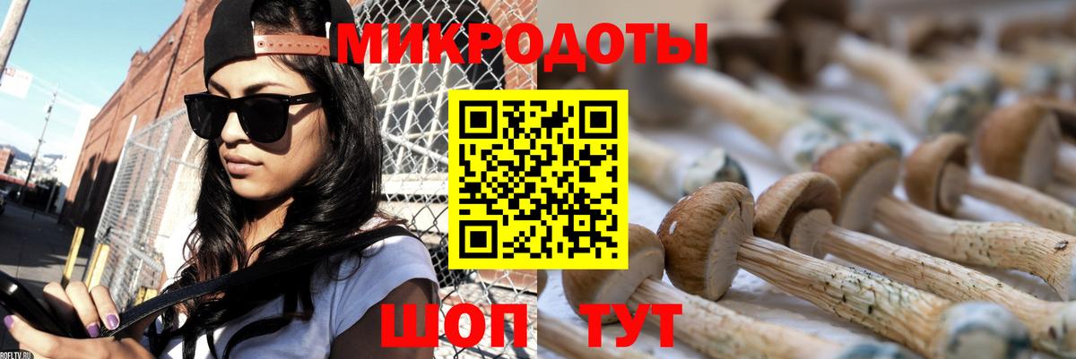 Псилоцибиновые грибы GOLDEN TEACHER  Псилоцибиновые грибы мухоморы  Вход с VPN  Владикавказ 